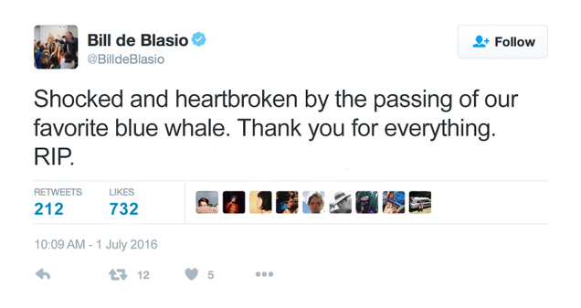 Illustration for article titled End Of An Era: The Blue Whale That Hangs From The Ceiling Of The Museum Of Natural History Has Died